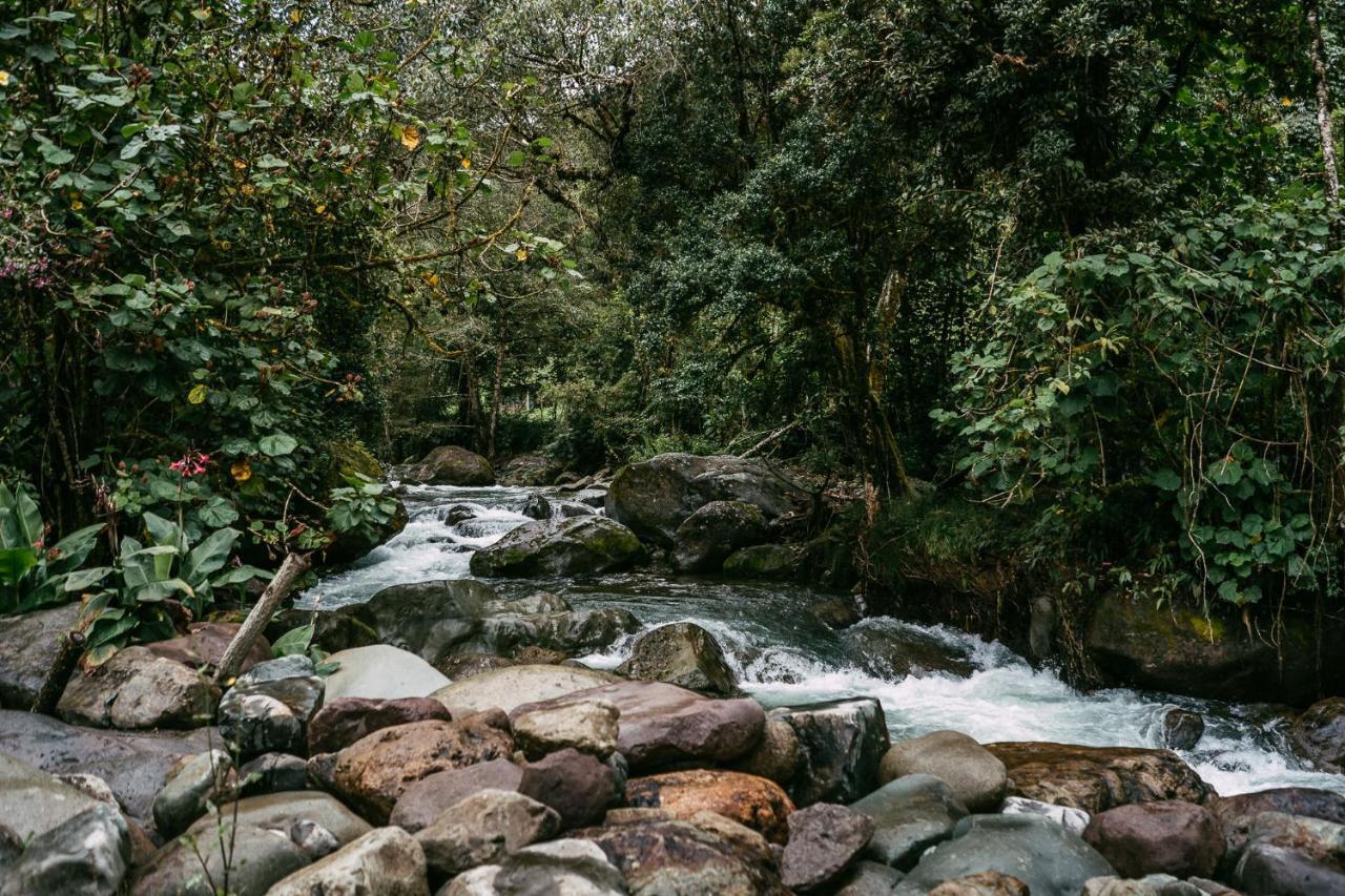 Trogon Lodge San Gerardo de Dota Zewnętrze zdjęcie