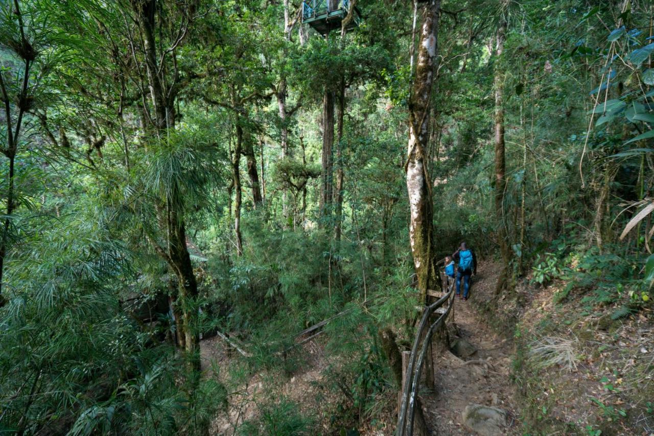 Trogon Lodge San Gerardo de Dota Zewnętrze zdjęcie